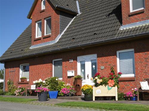 Semesterhus/Semesterlägenhet - 4 personer -  - Osterdeich - 25845 - Nordstrand