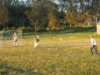 Billede 16