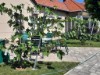 Bild 32 - Ude