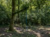 Billede 20 - Grund