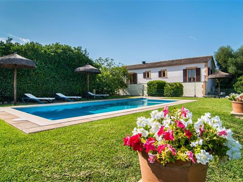 Holiday home - 6 persons -  - Carrer Sector - Can Polito, Can Picafort - 07458 - Can Picafort