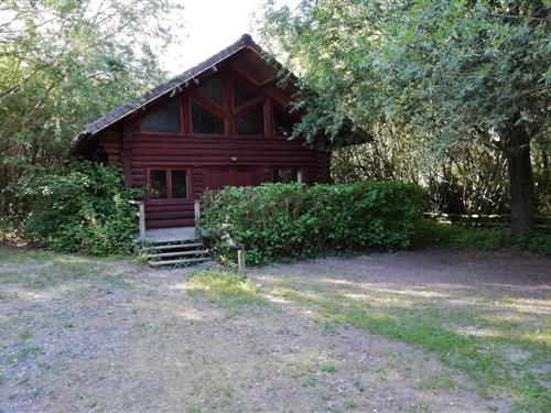 Chalet - 6 persons -  - 80120 - Quend-Plage