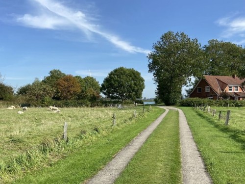 Ferienhaus - 4 Personen -  - 25764 - Wesselburener Deichhausen