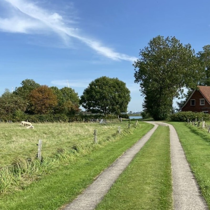 Sommerhus - 4 personer -  - 25764 - Wesselburener Deichhausen