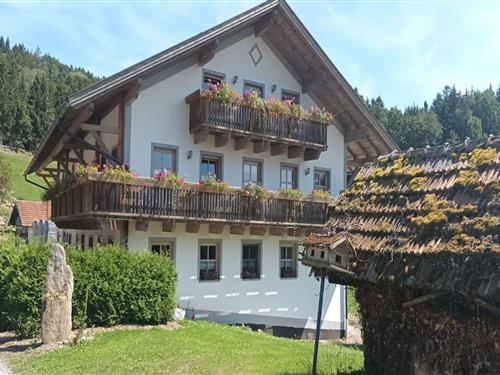 Holiday Home/Apartment - 6 persons -  - 94234 - Viechtach