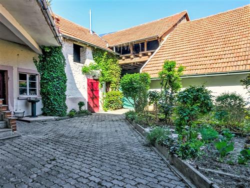 Ferieleilighet - 4 personer -  - Neustadt An Der Weinstraße - 67434