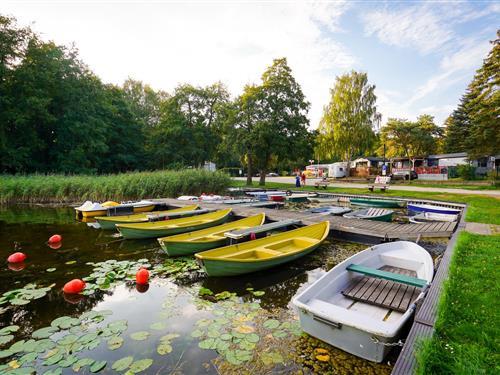 Mobile home - 4 persons -  - Am See - 18276 - Lohmen