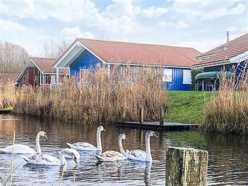  - 10 personer -  - Neu-Seeland - Otterndorf - 21762 - Ottendorf