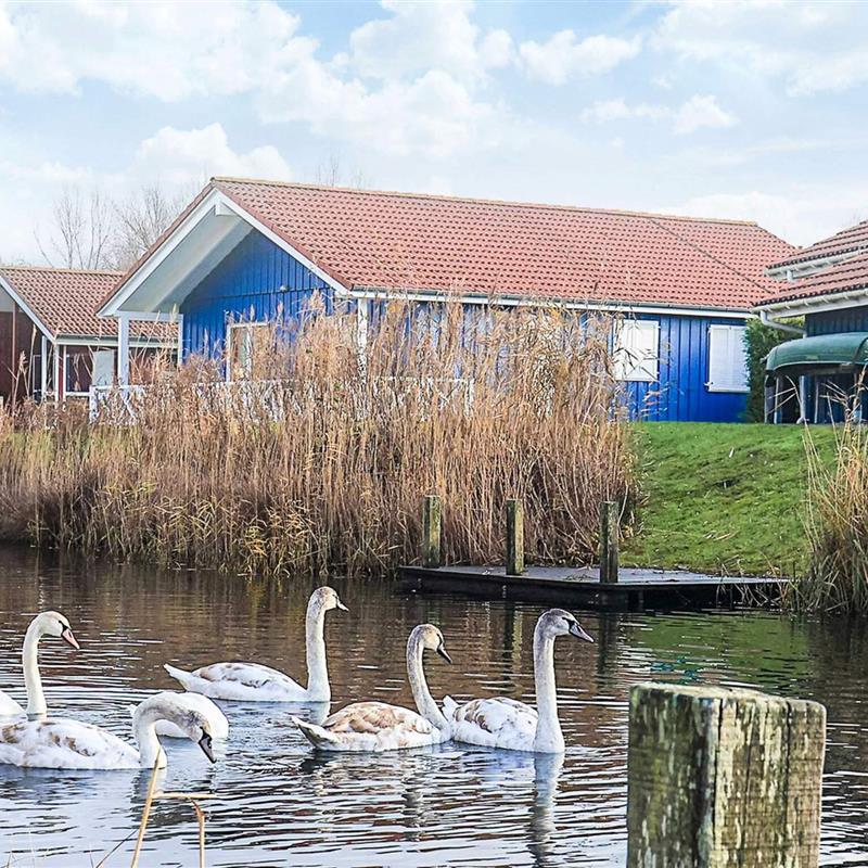  - 10 personer -  - Neu-Seeland - Otterndorf - 21762 - Ottendorf