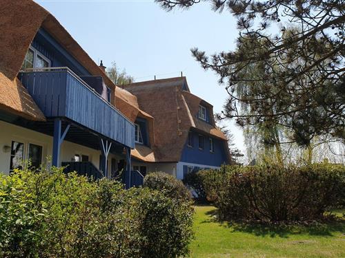 Ferielejlighed - 2 personer -  - Mühlenweg - 18375 - Wieck A. Darß