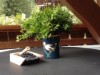 Bild 5 - Ude
