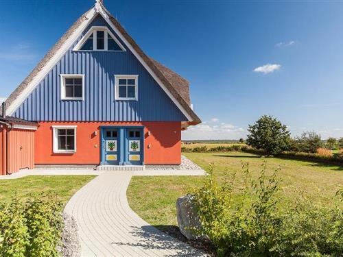 Ferieleilighet - 4 personer -  - Am Jagdhaus - 18375 - Wieck