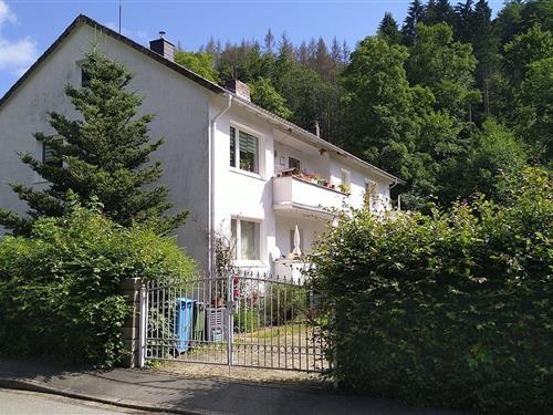 Feriehus / leilighet - 16 personer -  - An der Waldpromenade - 37441 - Bad Sachsa Steina