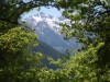 Bild 18