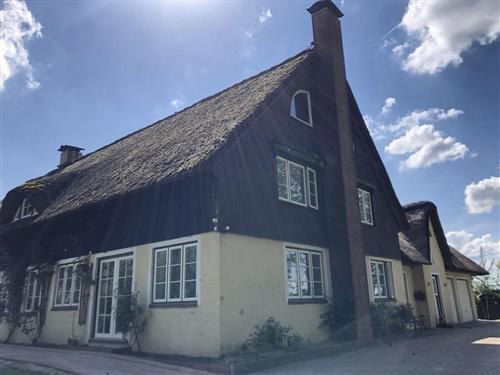 Ferienwohnung - 4 Personen -  - Freesenkoog - 25840 - Koldenbüttel