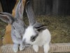 Bild 17