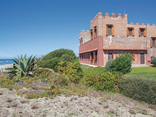 Sommerhus - 14 personer -  - Via Lungomare delle Sirene - Torvajanica - 00071 - Torvajanica (Rm)