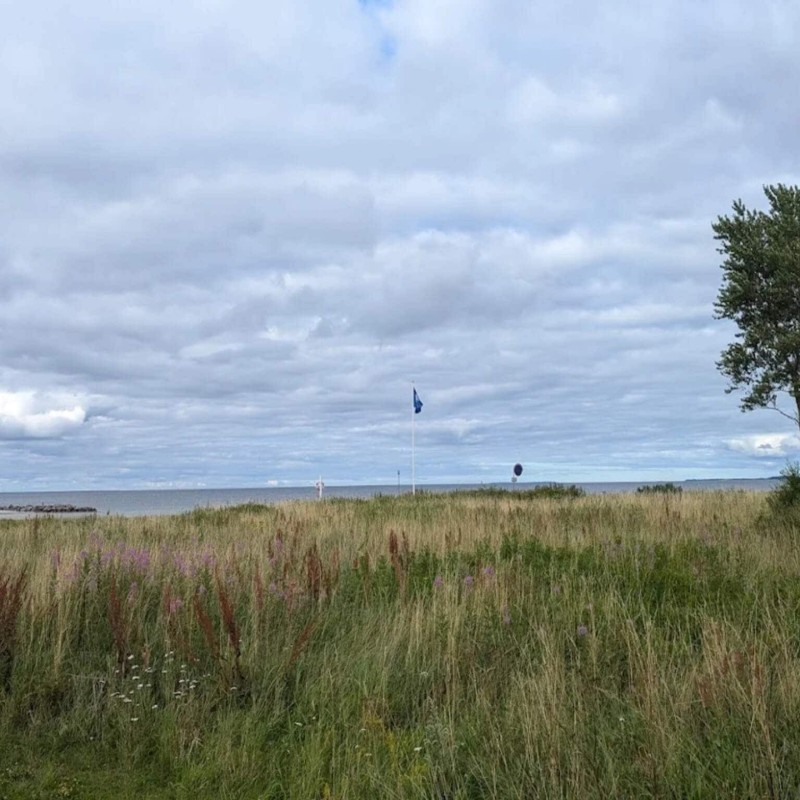 Sommerhus - 5 personer -  - Polluxvej - Vejlby Fed - 5500 - Middelfart
