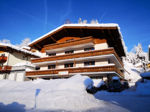 Ferienwohnung - 4 Personen -  - Bachmühlstraße - 5752 - Viehhofen