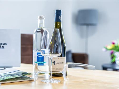 Sommerhus - 4 personer -  - 01445 - Radebeul