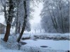 Billede 10
