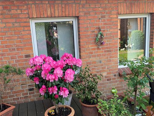 Ferieleilighet - 2 personer -  - Börnungstr. - 17166 - Teterow