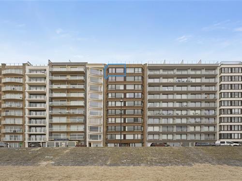 Ferielejlighed - 4 personer -  - 8370 - Blankenberge