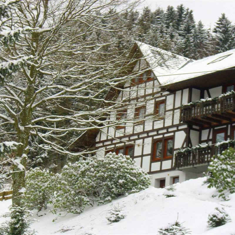 Ferielejlighed - 5 personer -  - 57392 - Schmallenberg-Oberkirchen