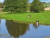 Bild 18