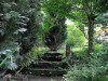 Bild 17