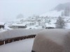 Bilde 13 - Ude
