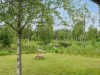 Bilde 4