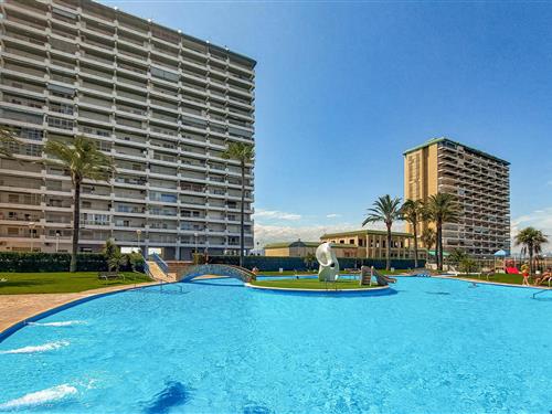 Holiday Home/Apartment - 5 persons -  - Tramuntana 2 Esc C - Urb. Plans-Mar - 46540 - El Puig De Santa Maria