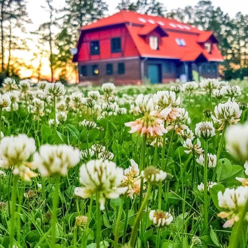 Ferielejlighed - 6 personer -  - Pierkunowo - 11-500 - Gizycko