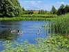Billede 10 - Udsigt over vand