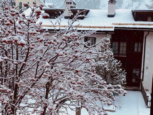 Ferielejlighed - 8 personer -  - Sils Maria - 7514