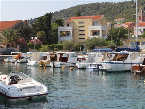 Holiday apartment - 3 persons -  - Jaz - 23273 - Preko