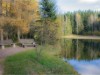 Bild 40