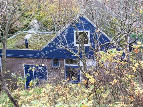 Ferienhaus - 2 Personen -  - Parkweg - Bergen - 1865 AE - Bergen Aan Zee