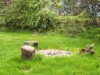 Bild 8 - Ude