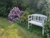 Billede 40 - Grund
