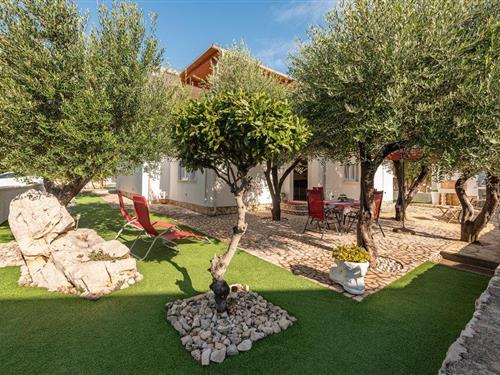 Holiday apartment - 4 persons -  - Kralja Zvonimira bb - Pag - Povljana - 23249 - Povljana