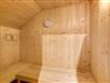 Billede 15 - Sauna
