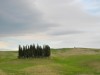 Bild 17