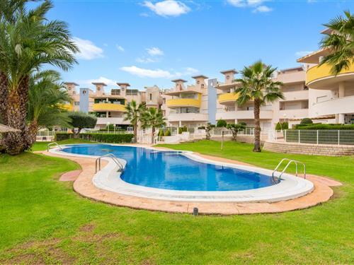 Holiday Home/Apartment - 4 persons -  - Paquito el Chocolatero - Orihuela Costa, Alicante - 03189 - Orihuela