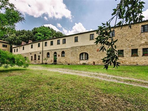 Ferieleilighet - 4 personer -  - 56033 - Santo Pietro Belvedere
