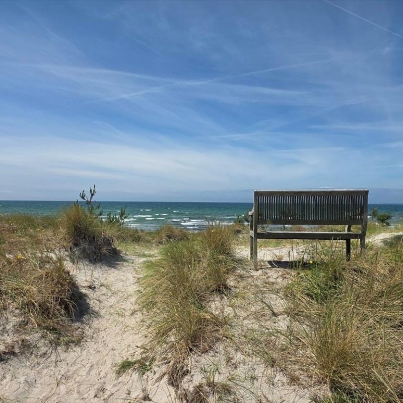 Sommerhus - 8 personer -  - Rylevang - Sejerø Bugt - Lyngområderne - 4573 - Højby