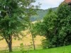 Billede 17 - Ude