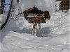 Bild 17
