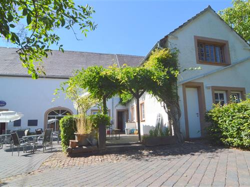 Ferielejlighed - 4 personer -  - 54570 - Meisburg